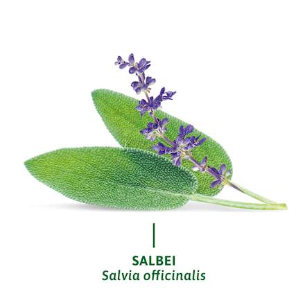 Kruidenthee, salie (8 zakjes), 12,8 g