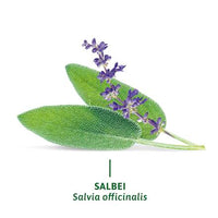 Kruidenthee, salie (8 zakjes), 12,8 g