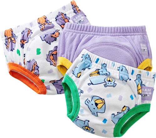 Herbruikbare zindelijkheidstrainingbroekjes, 2-3 jaar, paars/veelkleurig, 3 stuks