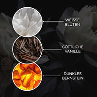 Flüssigseife Twilight Amber, 400 ml