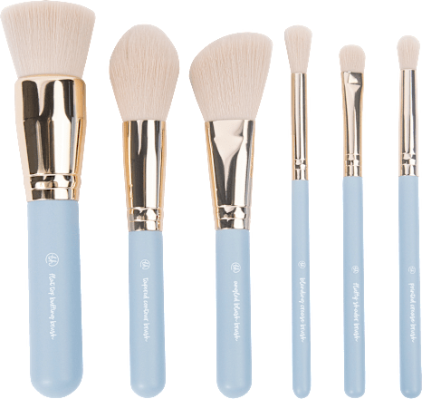 Pinselset Travel Series Escapade 6tlg mit Tasche, 1 St bh cosmetics