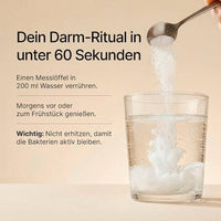 Daily Gut Darm Pulver Vanille, 112 g