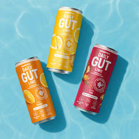 Daily Gut Limo Ingwer Zitrone Geschmack, 330 ml EINWEG