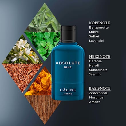 Absolute Blue Eau de Toilette, 60 ml