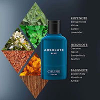 Absolute Blue Eau de Toilette, 60 ml