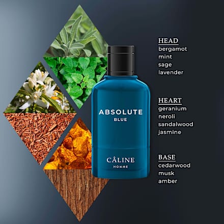 Absolute Blue Eau de Toilette, 60 ml