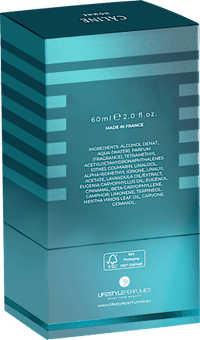 CÂLINE Infinite Navy Homme Eau de Toilette, 60 ml