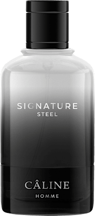 Signature Steel Eau de Toilette, 60 ml