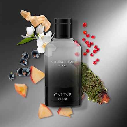 Signature Steel Eau de Toilette, 60 ml
