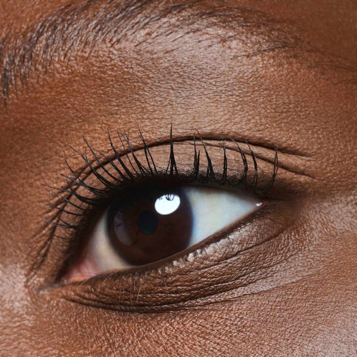 CATRICE Fard à paupières Soft Melt Liquid To Powder 040 Toasted Mocha, 3,4 ml