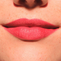 Lipliner Plumping 090 The Wild One, 0,35 g