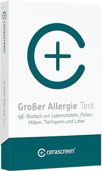 Großer Allergie Test, 1 St