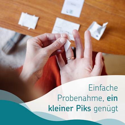 Großer Allergie Test, 1 St