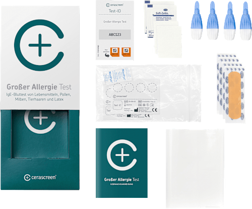 Großer Allergie Test, 1 St