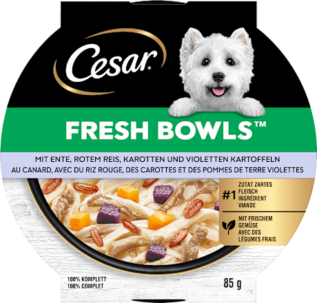 Nassfutter Hund mit Ente, Reis & Karotten, fresh bowls, 85 g