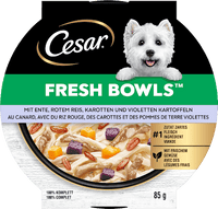 Nassfutter Hund mit Ente, Reis & Karotten, fresh bowls, 85 g