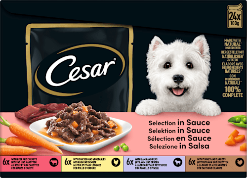 Nassfutter Hund Selection in Sauce, Multipack (24x100 g), 2,4 kg