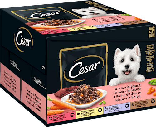 Natvoer voor honden in saus, multipack (24x100 g), 2,4 kg