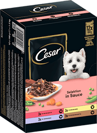 Nassfutter Hund Selektion in Sauce, Multipack (12x100 g), 1,2 kg