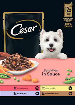 Nassfutter Hund Selektion in Sauce, Multipack (12x100 g), 1,2 kg