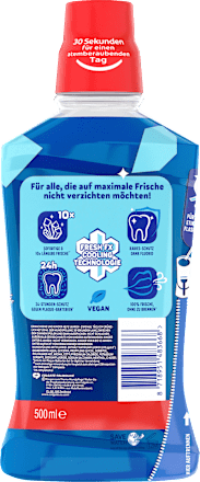 Ice Fresh Mondspoeling, 500 ml