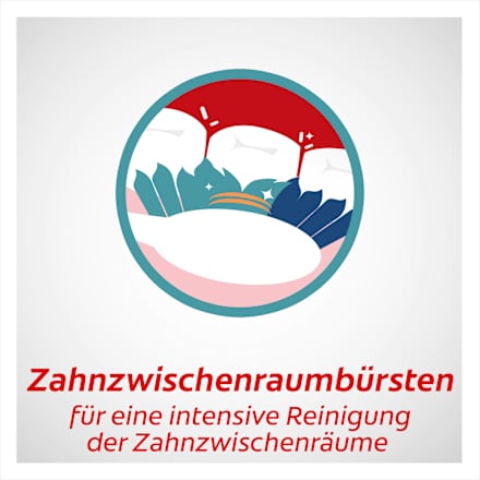Zahnbürste Extra Clean medium, 6 St