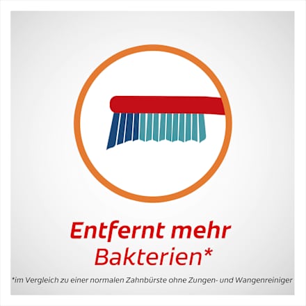 Zahnbürste Extra Clean medium, 6 St