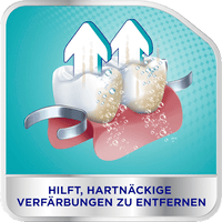 Gebissreiniger intensiv, 108 St