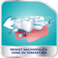 Gebissreiniger intensiv, 108 St