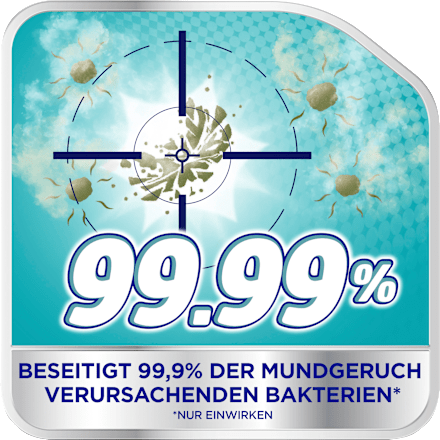 Gebissreiniger intensiv, 108 St