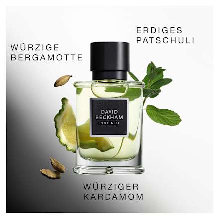 Instinct Eau de Parfum, 50 ml
