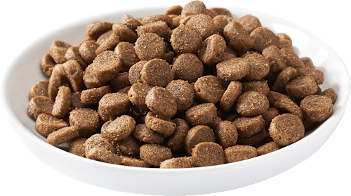 Droogvoer voor honden met biologisch gevogelte, volwassen, 12,5 kg