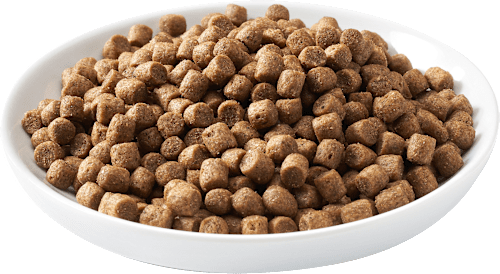 Droog hondenvoer met biologisch gevogelte, Mini, Adult, 3 kg