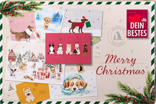 Adventskalender 2026 - merry christmas für Hunde, 1 St