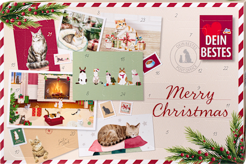 Adventskalender 2026 - merry christmas für Katzen, 1 St