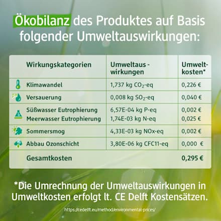 Vollwaschmittel Konzentrat Pro Climate, 33 Wl