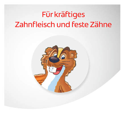 Kruidentandpasta, 75 ml