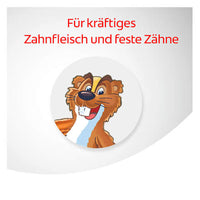 Kruidentandpasta, 75 ml