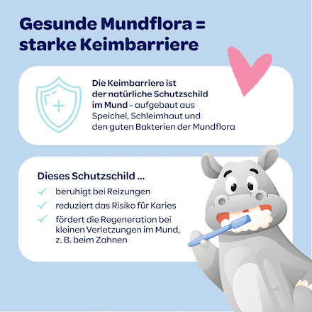Dentinox Baby Mundflora+ Tandpasta met vingertandenborstel, 0-2 jaar, 30 ml