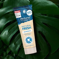 Zahnpasta Natural Fresh, 75 ml dentural
