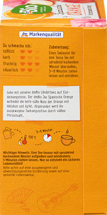 Früchtetee Spanische Orange (20 Beutel), 40 g
