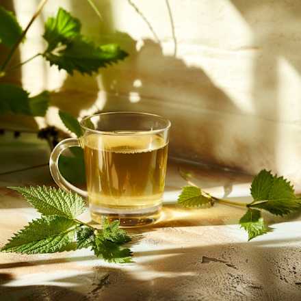 Brandnetelkruidenthee (20 zakjes), 30 g