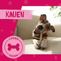 Kausnack Hund, Kaustange mit Hühnerbrust, 50 g