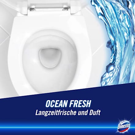 Toiletreiniger Gel Active Power Ocean Fresh, 750 ml