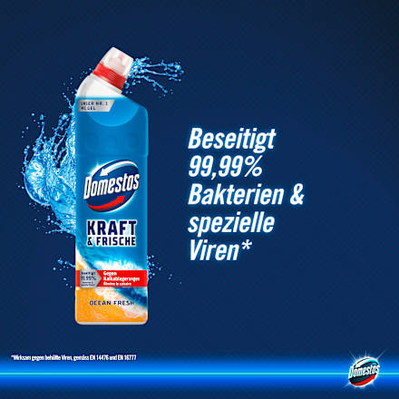 Toiletreiniger Gel Active Power Ocean Fresh, 750 ml