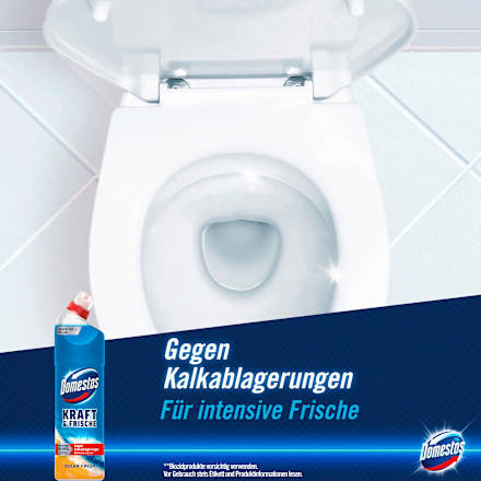 Toiletreiniger Gel Active Power Ocean Fresh, 750 ml