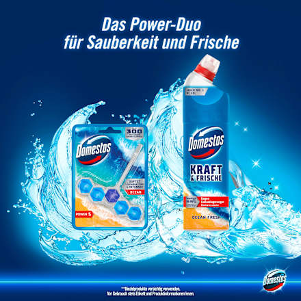 Toiletreiniger Gel Active Power Ocean Fresh, 750 ml