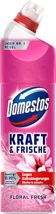WC-Reiniger Gel Kraft & Frische Floral Fresh, 750 ml