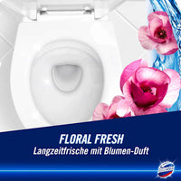Toiletreiniger Gel Sterkte &amp; Frisheid Floral Fresh, 750 ml