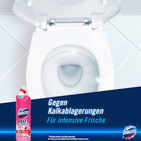 WC-Reiniger Gel Kraft & Frische Floral Fresh, 750 ml